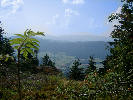 Natur im bayrischen Wald